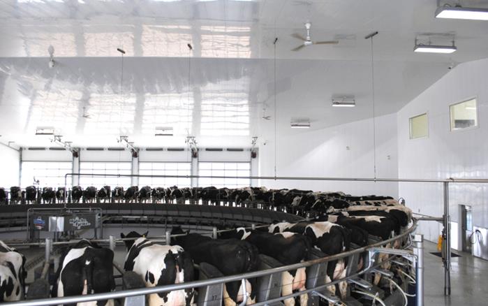 Dairy Parlor with Extrutech Liner Panels on Walls and Ceiling