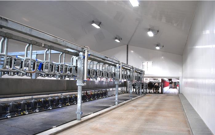 Dairy Parlor using Extrutech Interlocking Liner Panels on Walls and Ceiling