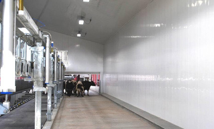 Milking Parlor using Extrutech FORM Walls & Extrutech Ceiling Panels
