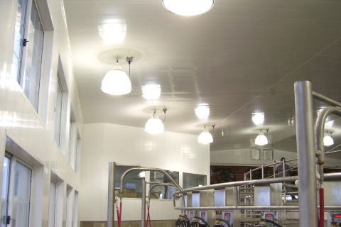 Extrutech Panels on Walls & Ceiling