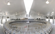Extrutech Wall and Ceilng Panels in a Rotary Milking Parlor