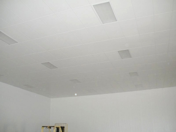 Suspended Ceiling Panels by Extrutech Plastics