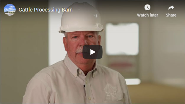 New Cattle Processing Video