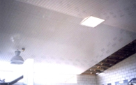 ZMP Panels on interior Milking Parlor Ceiling